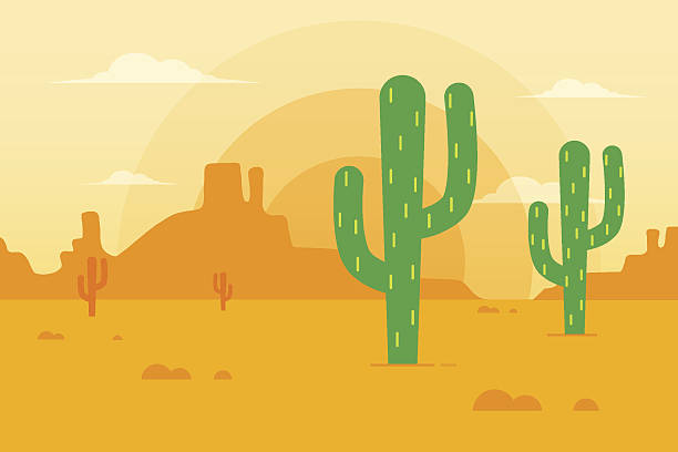 desert-landschaft  - desert cactus mexico arizona stock-grafiken, -clipart, -cartoons und -symbole