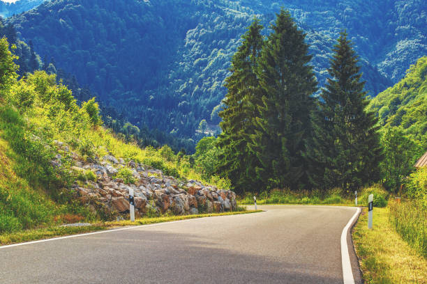 istock Countryside landscape with mountains, fields and road. Germany, Black forest. 639576504