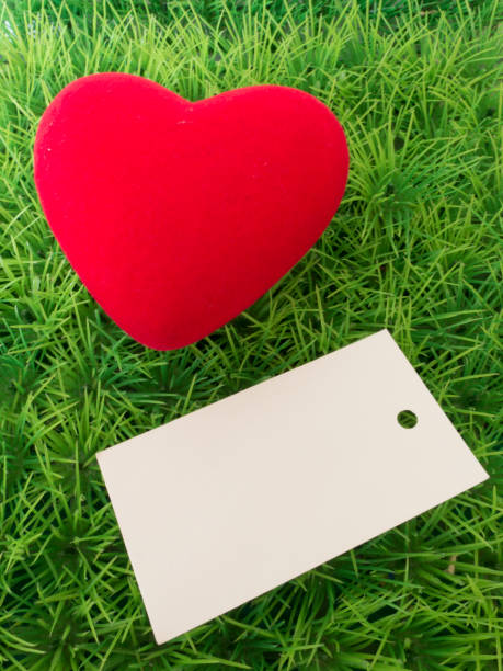 istock Background for Valentine's day on the green grass 639577370