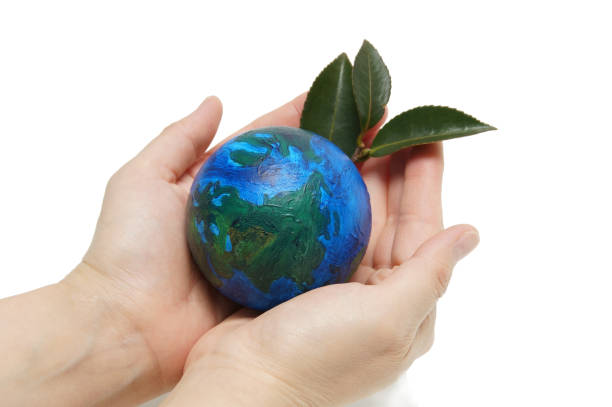 istock Both hands wrapped around the earth and leaves 639577844