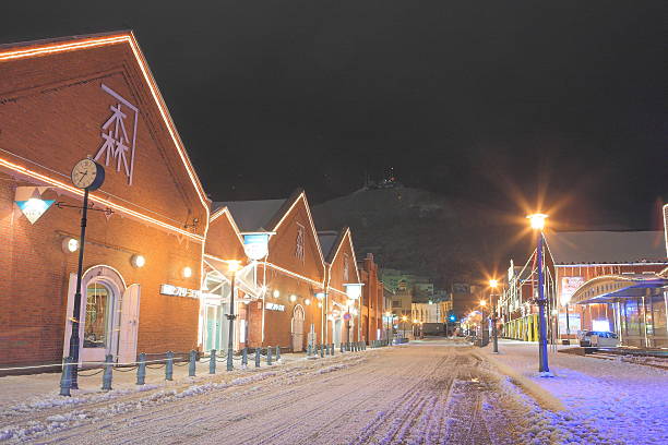 Hakodate, Japan - January 10, 2009: Hakodate, Landmark, Mt. Hokodate and Historical Warehouse at night after snoe storm.