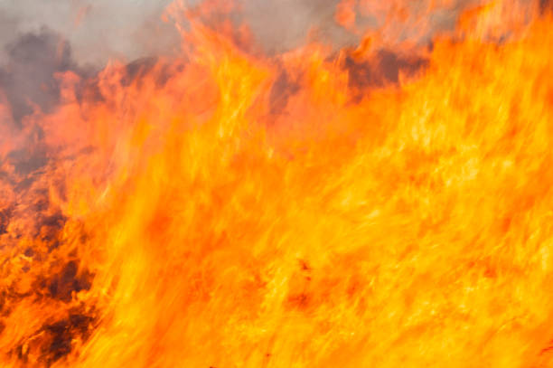 istock Big fire in the field 639579254