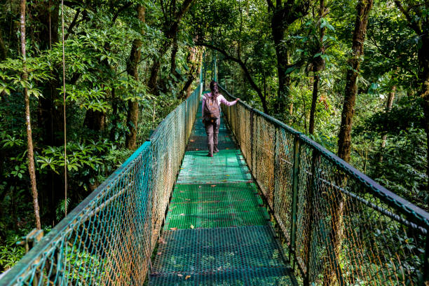 istock Girl walking on hanging bridge in cloudforest - Monteverde 639579628