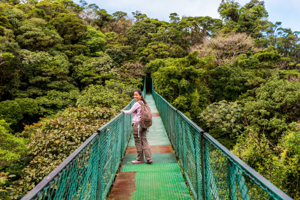 istock Girl walking on hanging bridge in cloudforest - Monteverde 639582324