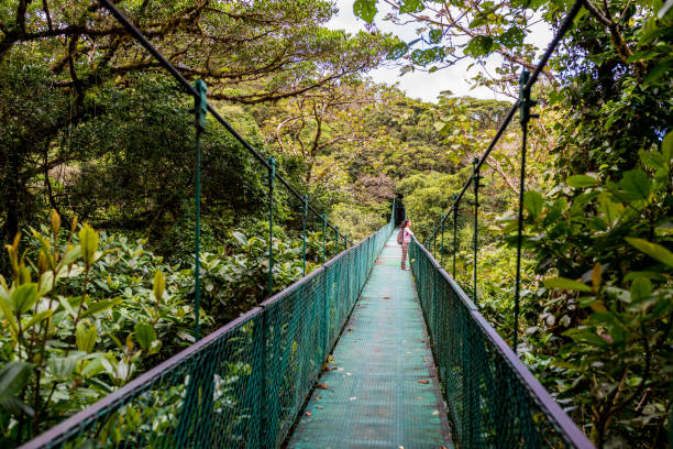 istock Girl walking on hanging bridge in cloudforest - Monteverde 639583242