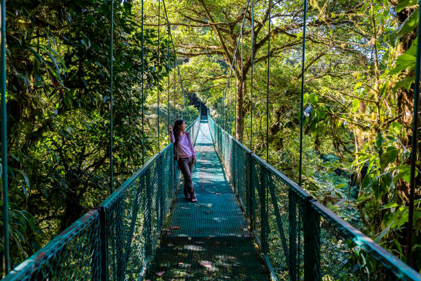 istock Girl walking on hanging bridge in cloudforest - Monteverde 639589404