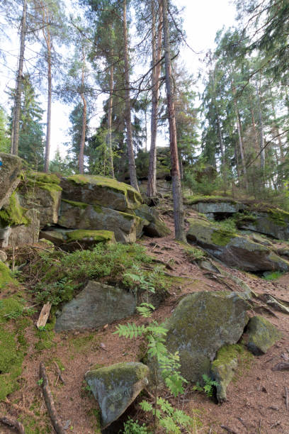istock Big stones in the green forest 639589534