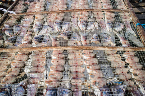 istock Drying fish under the sun in China 639591014