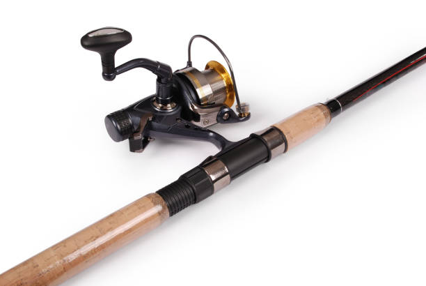 istock One fishing rod (Clipping path) 639592446