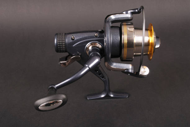 istock Reel for fishing rods 639592554