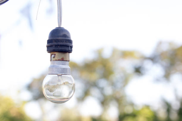 Light bulb hang with the green background