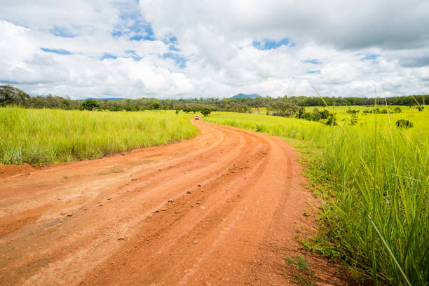 istock meadow savanna landscape 639598256