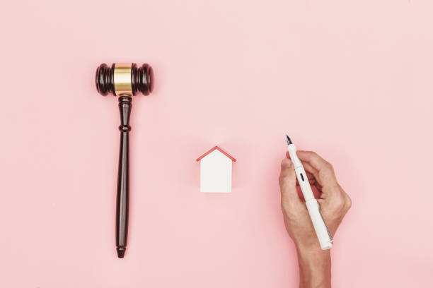 Top view lawyer desk, object on pink background with hand