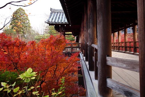 Tsutenkyo Bridge at Tofukuji Temple in autumn when there is no one
