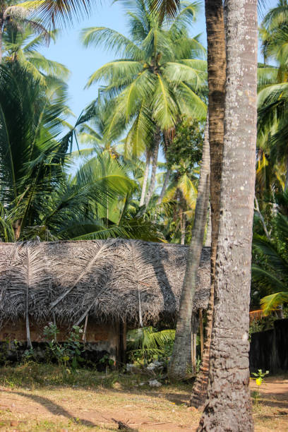 istock traditional cottage Kerala India 639607816