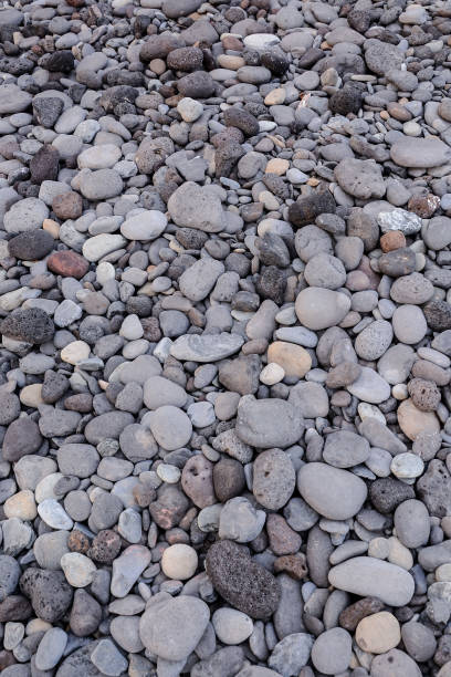 istock Dry round reeble stones 639608048