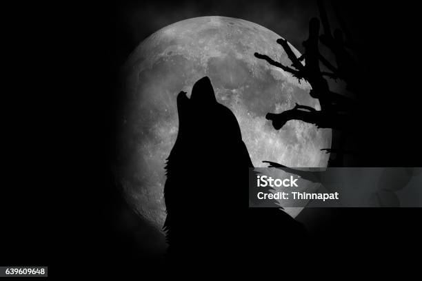 Lobo Howling En La Luna Foto de stock y más banco de imágenes de Lobo - Lobo, Aullido, Luna