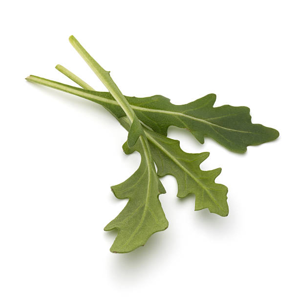 istock Sweet rucola salad or rocket lettuce leaves  on white ba 639610742
