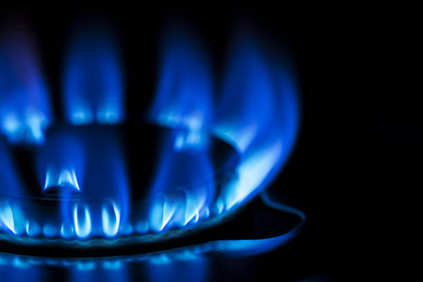 Gas stove