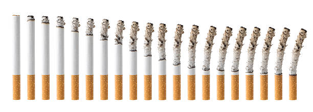 Set of Cigarettes During Different Stages of Burn Set of Cigarettes with clipping path anemia photos stock pictures, royalty-free photos & images