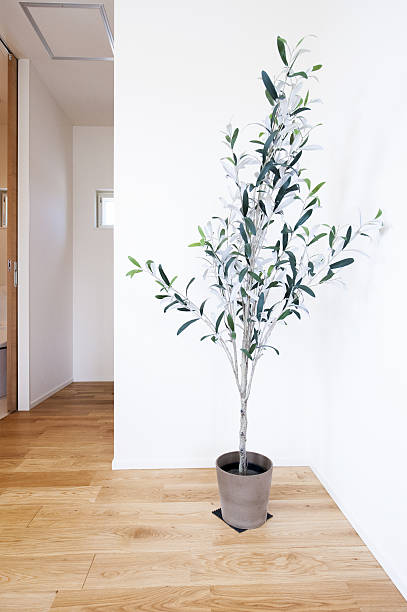 istock room, modern wooden house 639611858