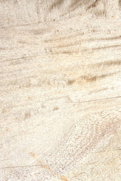 istock texture wood background , wooden older style 639613250