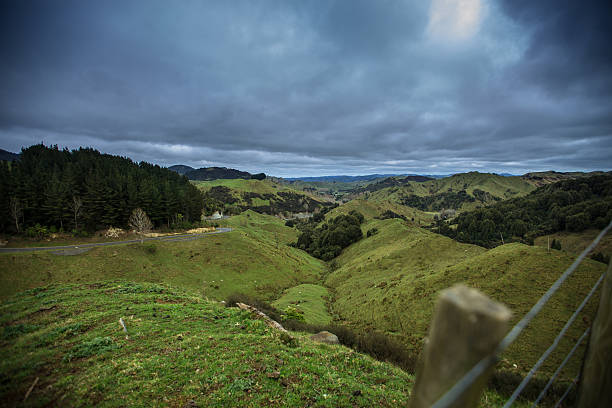 Dramatic Remote Valley in New Zealand Ruatiti Domain, Manawatu-Wanganui Region, New Zealand seen over a fence on an overcast day. manawatu stock pictures, royalty-free photos & images