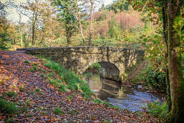 istock Stone bridge over small river in Welsh woodland 639615026