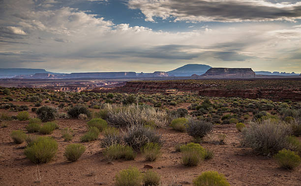 istock Mesa and Canyons in Arizona Desert 639615224