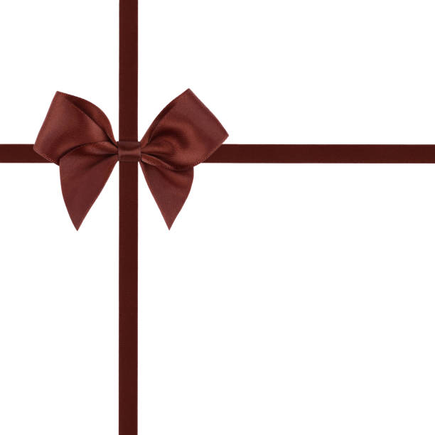 istock Brown ribbon bow isolated on white background 639615480