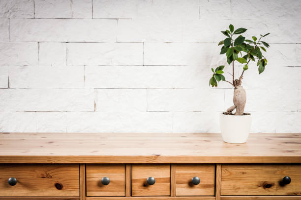 istock wooden shelf, flower and wall 639616076
