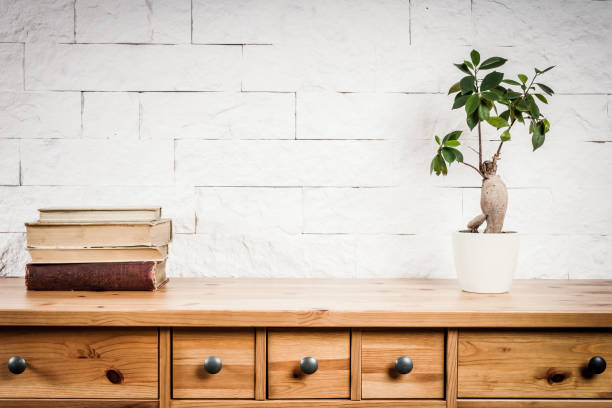 prateleira com livros e flor e parede branca - wood plank woods old - fotografias e filmes do acervo