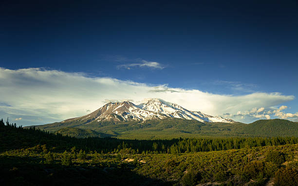 Evening Sun on Shasta-Trinity National Forest Gorgeous scenic view of Mount Shasta, the second highest mountain in the Cascade Range and fifth highest peak in California. mt shasta stock pictures, royalty-free photos & images