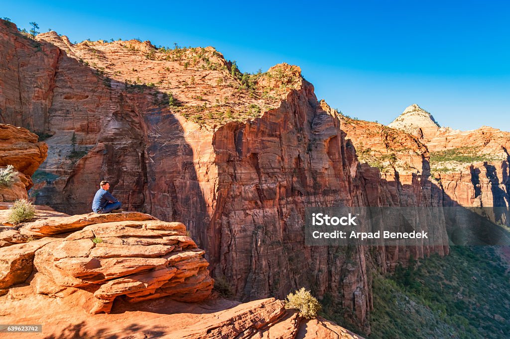 Man Looks at View from Canyon Overlook Zion National Park Stock photo of a solo, adult man relaxing and looking at scenic, rocky landscape view from Canyon Overlook, located above Pine Creek Canyon in Zion National Park, Utah, USA. Observation Point Stock Photo