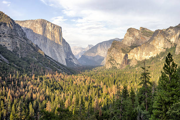 istock Yosemite View in California 639627628