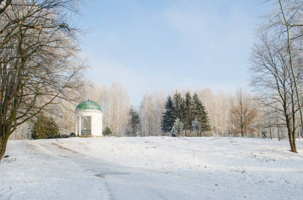 istock Trees covered with frost in a snowy forest 639627684