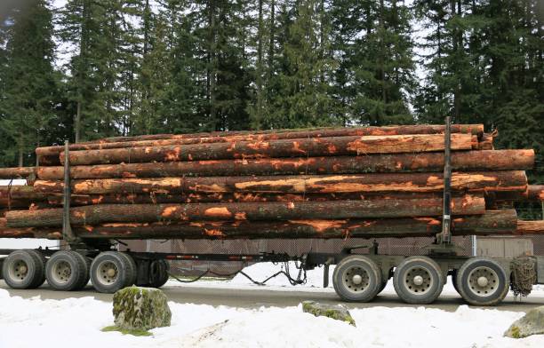 istock Loaded Logging Truck 639628686