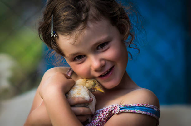 campagna ragazza ragazza in possesso di pulcino - baby chicken human hand young bird bird foto e immagini stock