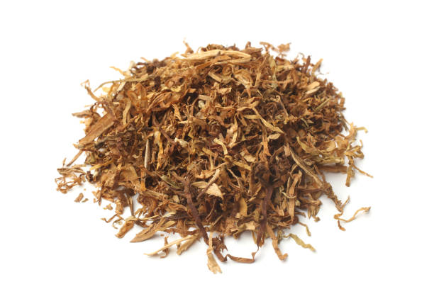 istock Dried smoking tobacco 639632804