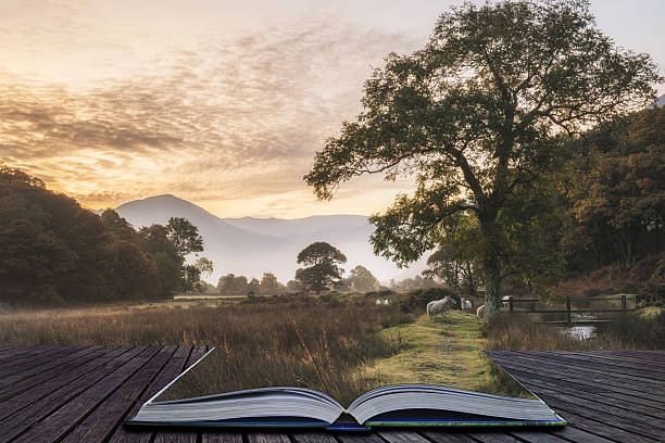 Beautiful foggy misty Autumn sunrise over countryside stock photo