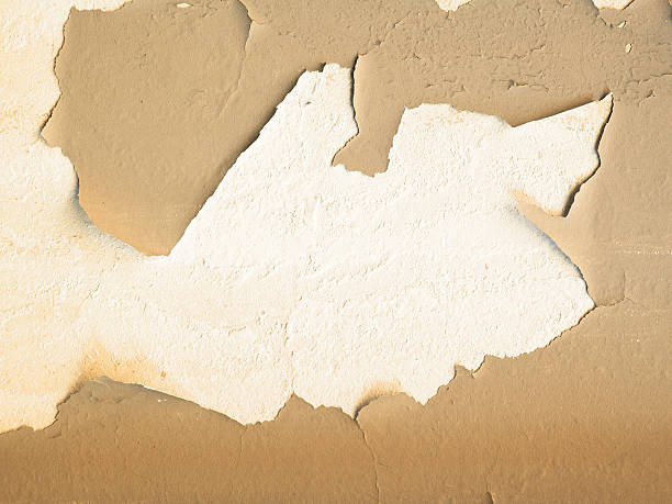 istock grunge wall, highly detailed textured background 639637886