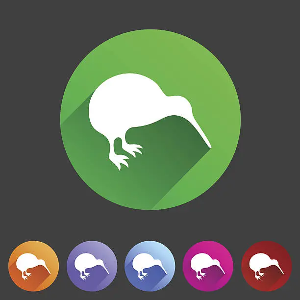 Vector illustration of Kiwi bird icon flat web sign symbol logo label