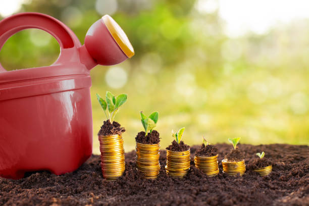 istock Start a business with your money 639643776