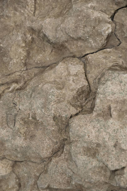 istock Weathered limestone rock abstract closeup 639646104