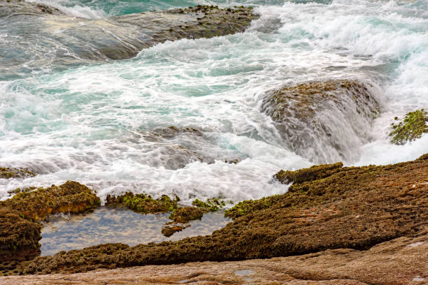 istock Rock and sea 639648578