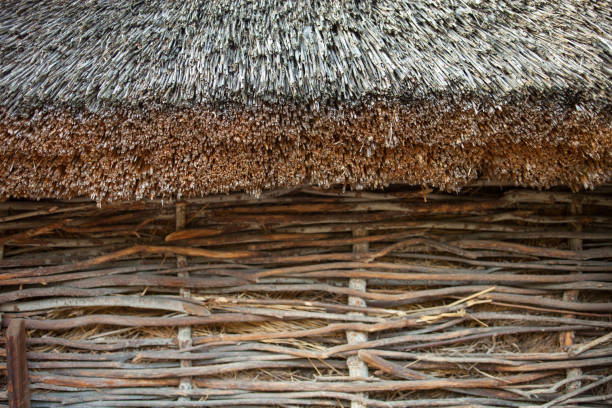 istock Wattle wall of the thatched shed 639649226