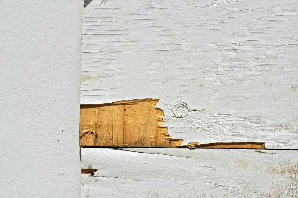 istock Chipped wall painted wood 639650706