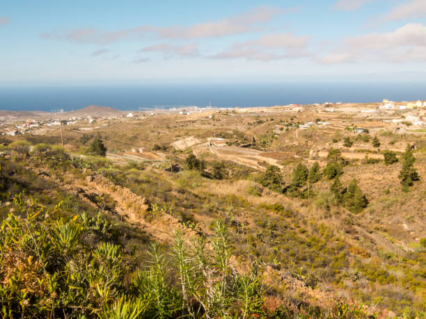 istock Valley in the Canary Islands 639651842