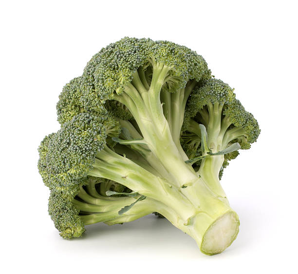 Broccoli vegetable Broccoli vegetable isolated on white background brokoli stock pictures, royalty-free photos & images