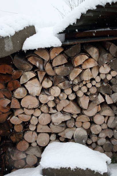 istock Pile of logs in winter 639652344
